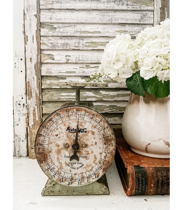 Vintage Chippy Green - Auto Wate Scale, 24lb 