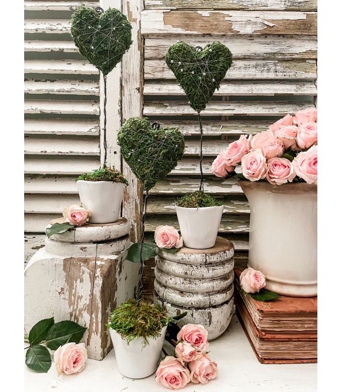 Handmade Moss Wrapped Heart Topiary in White pot, 12-14