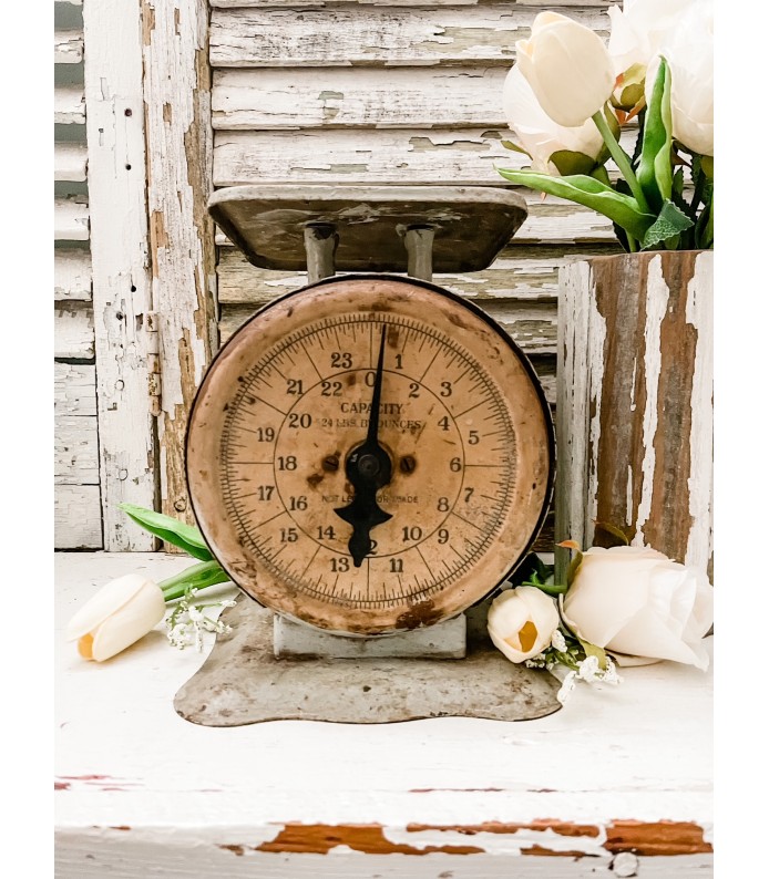 Vintage Grey/Green Scale 